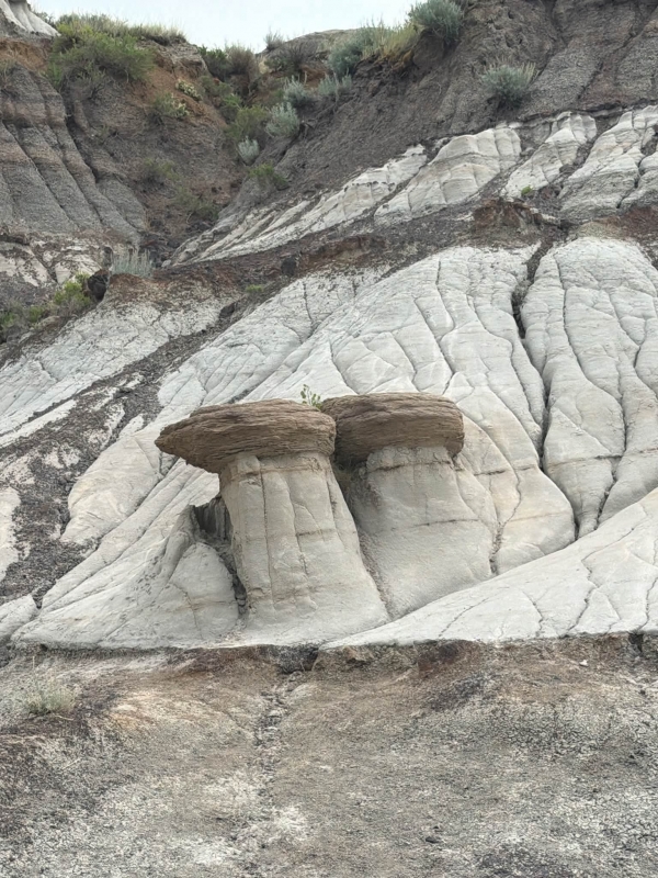 Hoodoos(후두/버섯바위) 드렘헬러 지역을 상징하는 가장 유명한 기암괴석이다. 버섯 모양의 바위 기둥.