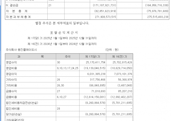 ▲웅진플레이도시의 재무상태표 및 손익계산서 일부