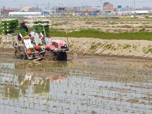 '농업 기본형 공익직불제' 위반 심각...매년 1만건 안팎