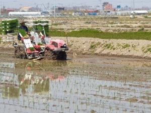'농업 기본형 공익직불제' 위반 심각...매년 1만건 안팎
